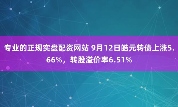 专业的正规实盘配资网站 9月12日皓元转债上涨5.66%，转股溢价率6.51%